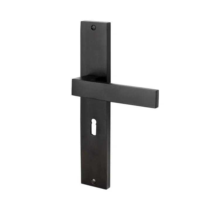 Mooi Deurbeslag Geveerde Deurklink Lusso met schild met sleutelgat - Afbeelding 2